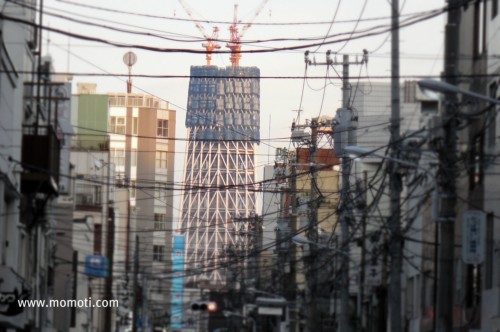 東京スカイツリー 205m